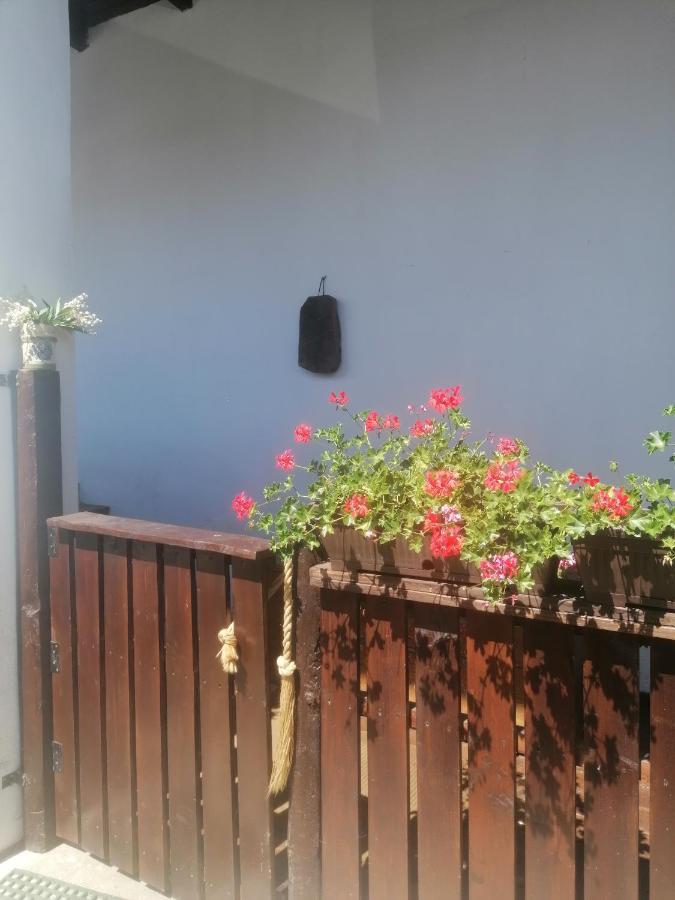 Casa Huber Ξενοδοχείο Carta  Εξωτερικό φωτογραφία